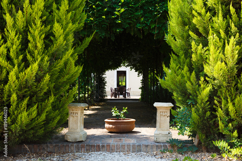 Beautiful romantic archway under trees with sunshine at the end of the road. Tunnel of love formed by trees.