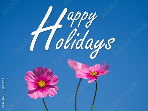 happy holidays text with Cosmos Flowers and blue sky.