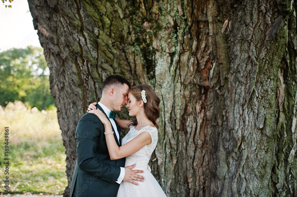 Attractive wedding couple hugging next to an old tree in the countryside. Attractive wedding couple hugging next to an old tree in the countryside.