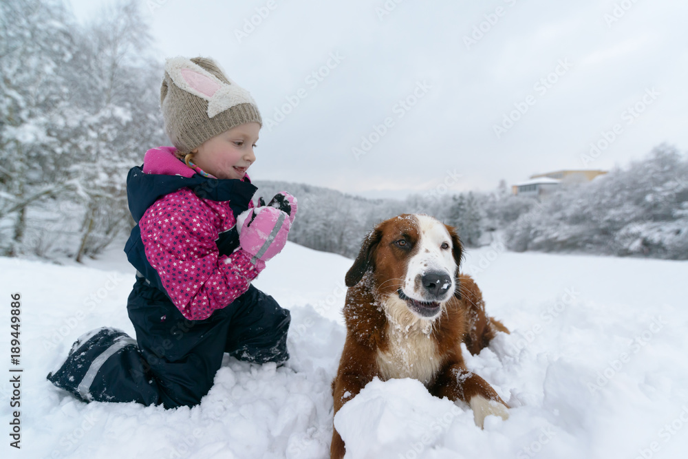 Schneespass mit dem Haushund
