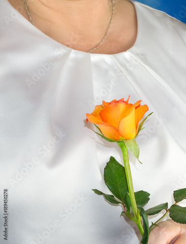 Woman holding a orange rose