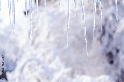Beautiful row of hanging icicles on a blurred white background.