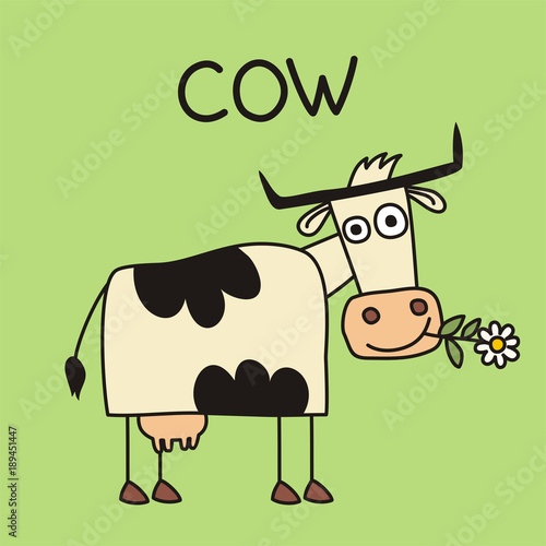 Funny cow with flower in mouth. An isolated cow in a cartoon style.