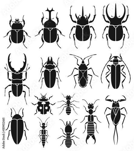 Insect icons set. Vector Illustrations.