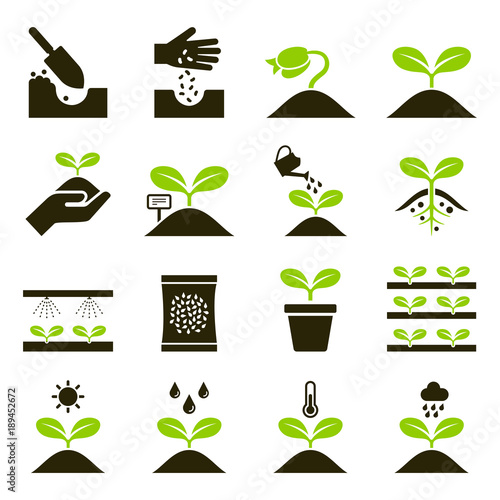 Plant icons. Vector Illustrations.