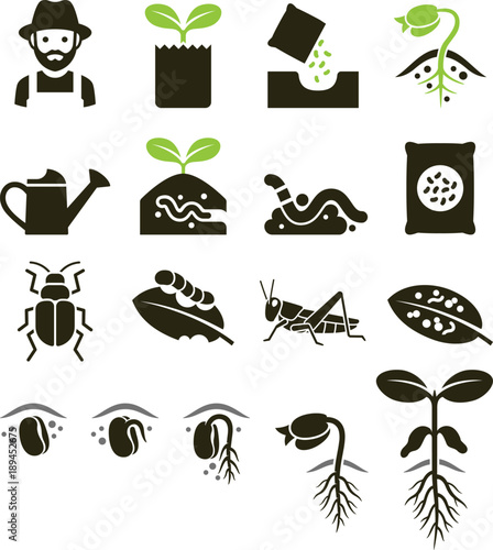 Plant icons. Vector Illustrations.