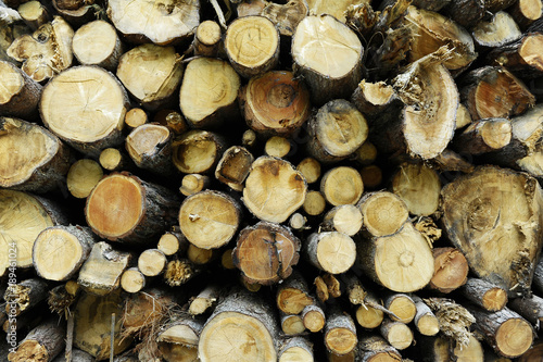 Woodshed full of cut logs