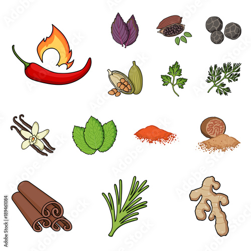 Herb and spices cartoon icons in set collection for design.Different kinds of seasonings vector symbol stock web illustration.