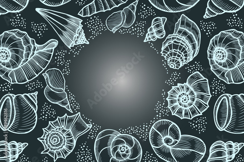 Seashells hand drawn vector