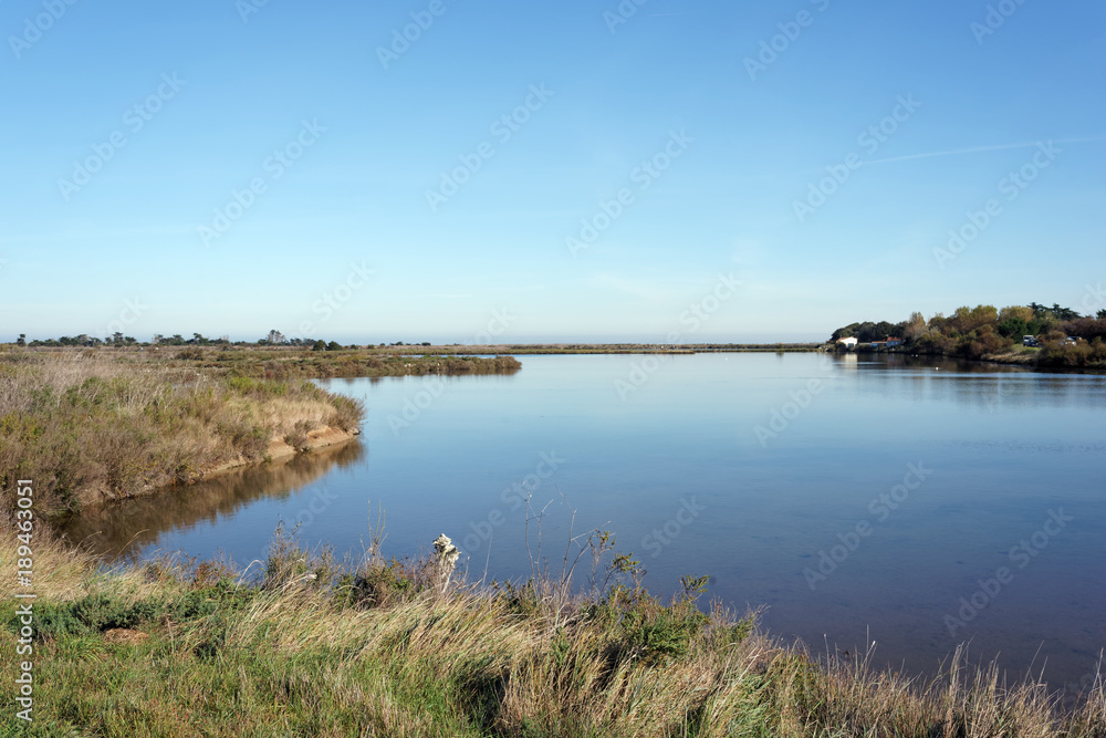 Marais de l'île de Ré