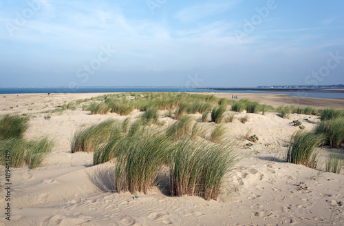 Dunes de sable de la plage du galon d or en Charente maritime