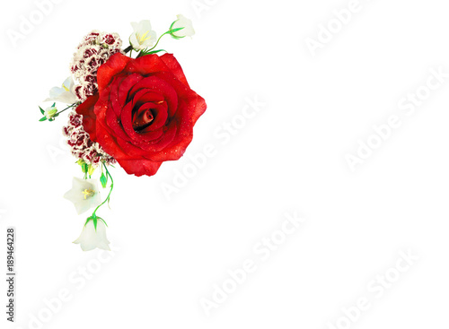 Flowers. Colorful flowers bouquet isolated on white background