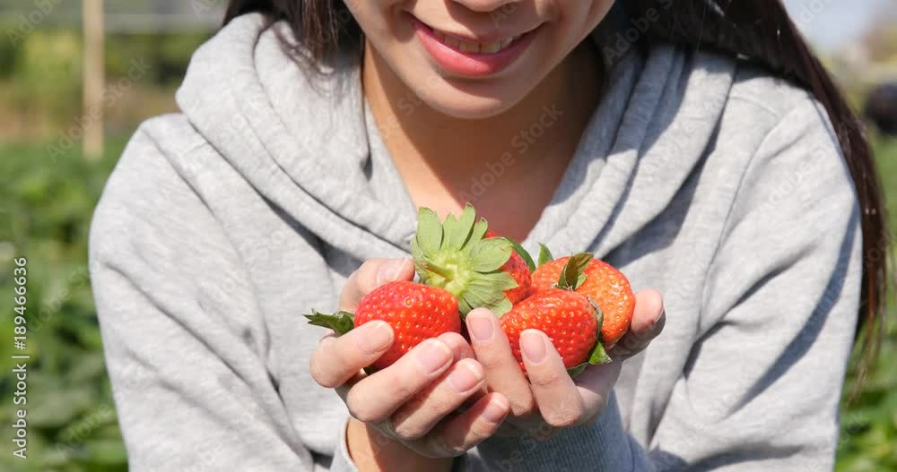 Woman holding harvest of strawberry field Woman holding harvest of strawberry field