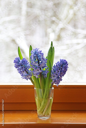 vase with blue hyacinths standing on a window sill