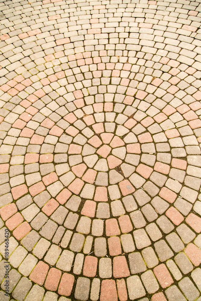 Paving stone on the road in the park
