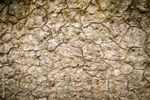 Concrete wall as an abstract background