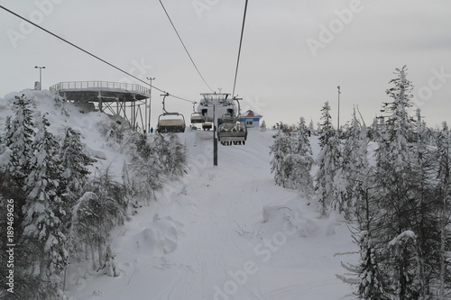 winter forest snow landscape mountains