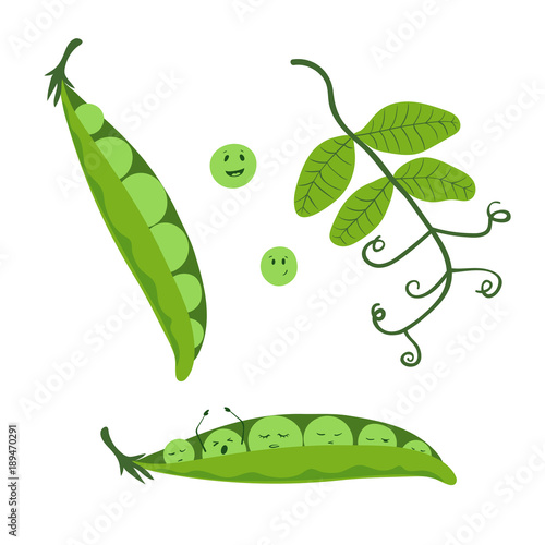 Cartoon pea set. Cute smiling peas in the pod. Vector illustration