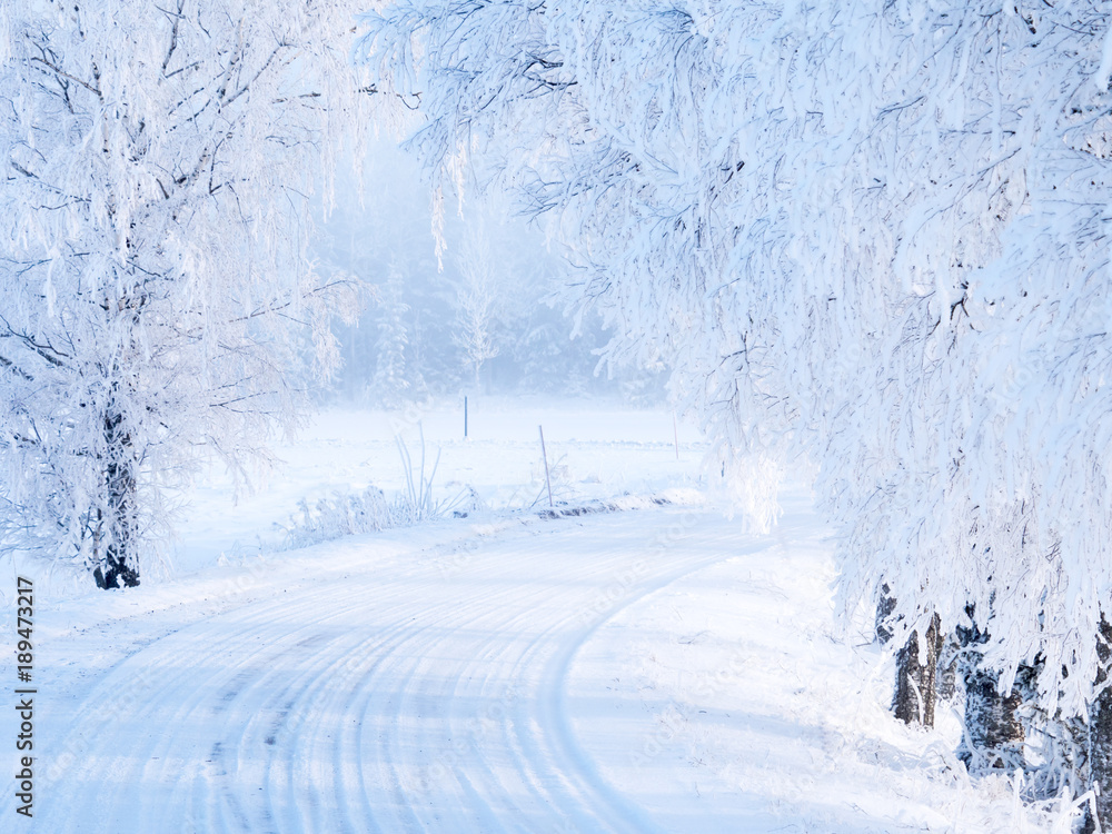 Obraz premium Country road in a cold winter landscape with snow and frost