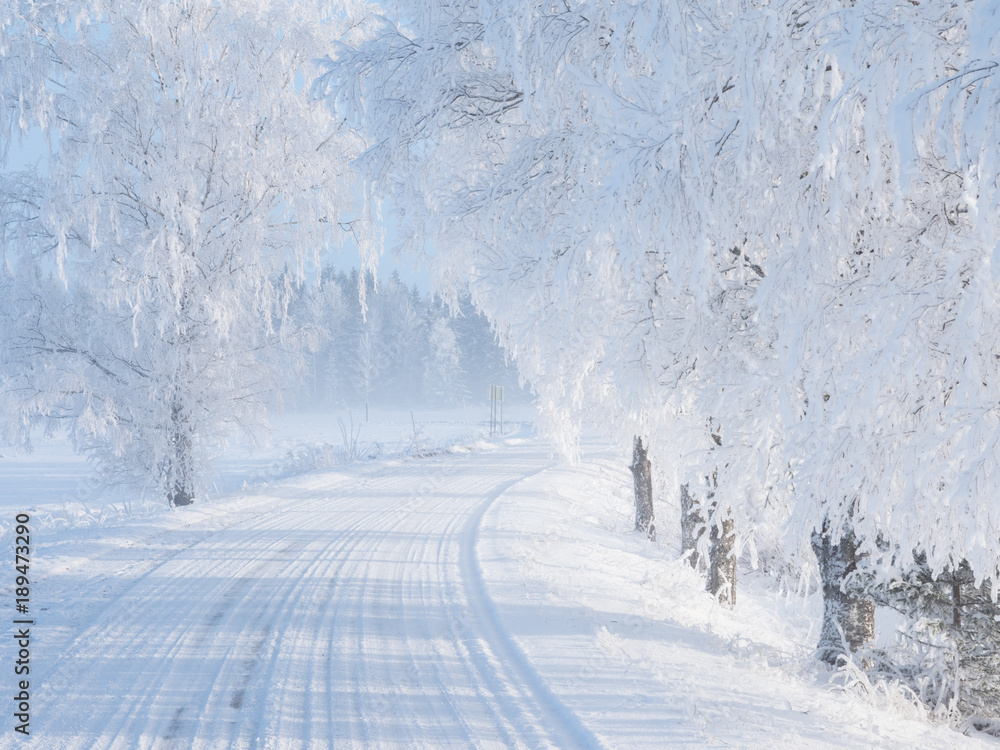 Fototapeta premium Country road in a cold winter landscape with snow and frost