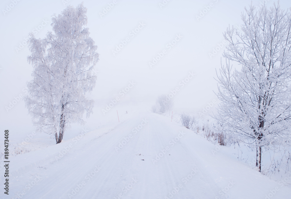 Country road in a cold winter landscape with snow and frost
