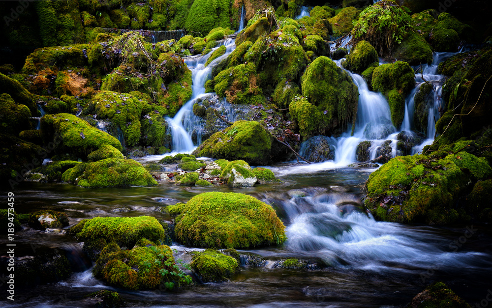 Mountain stream among the mossy stones Mountain stream among the mossy stones