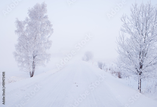 Country road in a cold winter landscape with snow and frost © Conny Sjostrom