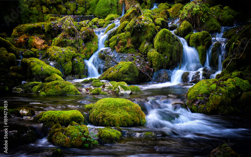 Mountain stream among the mossy stones