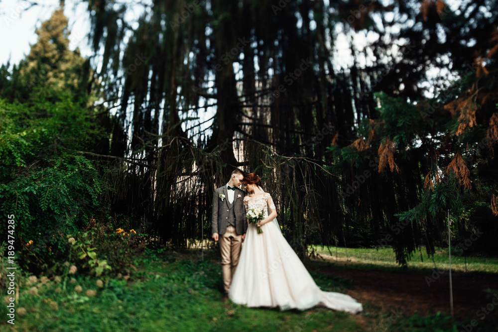 Sun illuminates tender faces of pretty wedding couple hugging in the garden Sun illuminates tender faces of pretty wedding couple hugging in the garden