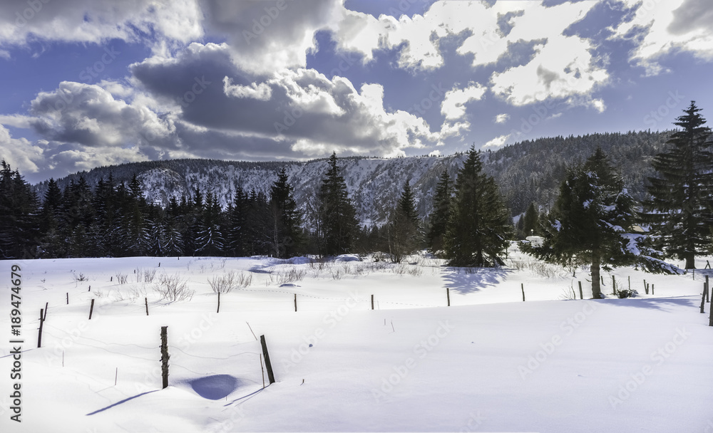 Winter landscape in the Vosges, France Winter landscape in the Vosges, France