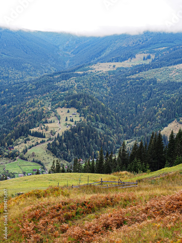 Carpatian mountains view from top