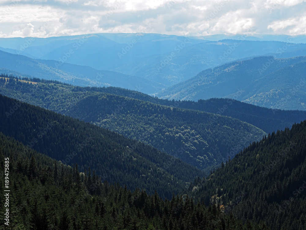 Fototapeta premium Carpatian mountains view from the top