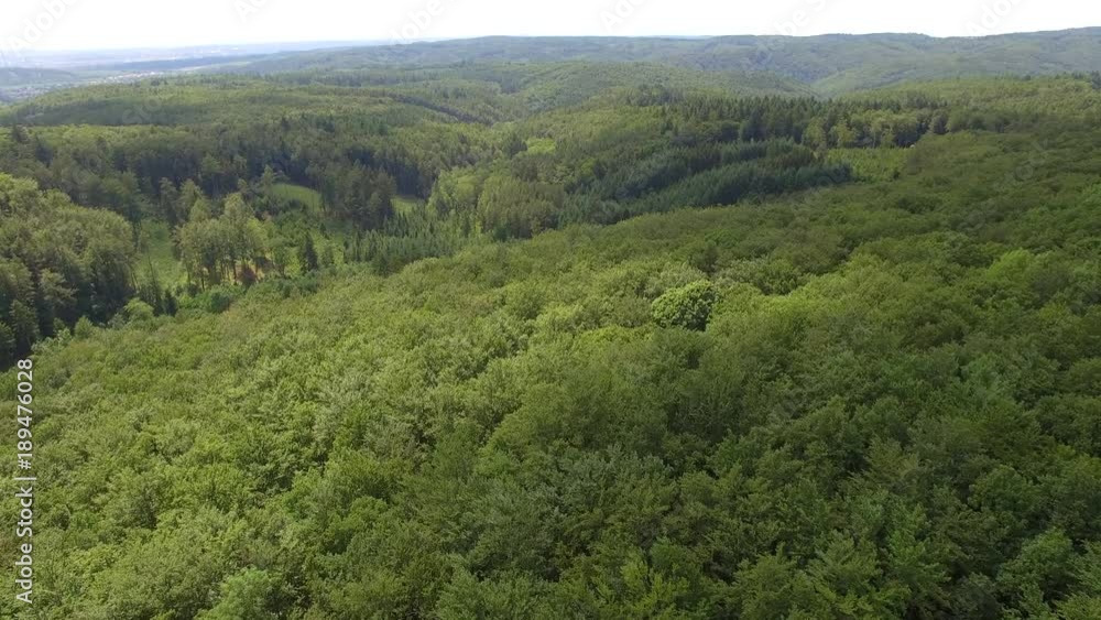 flight over forest, Aerial View of Czech forest, sunset. flight over forest, Aerial View of Czech forest, sunset.