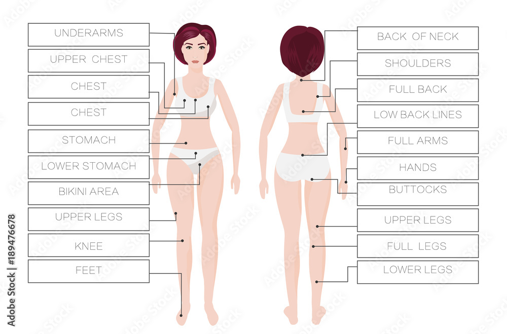 Laser hair removal female zones. Area body woman. IPL procedure Stock  Vector | Adobe Stock