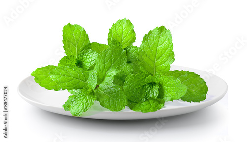 mint leaf in a plate isolated on a white background