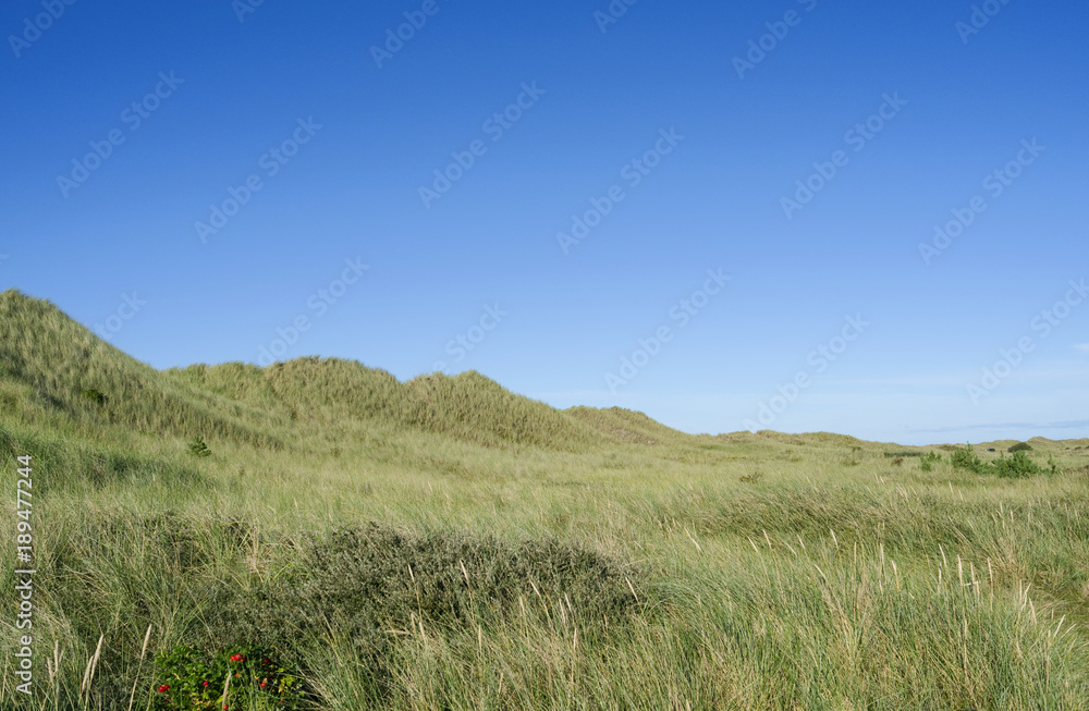 Laesoe / Denmark: View over the wide Danzigmann dune landscape at the northeastern tip of the island