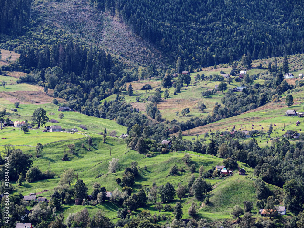 Carpatian mountains village at green forest