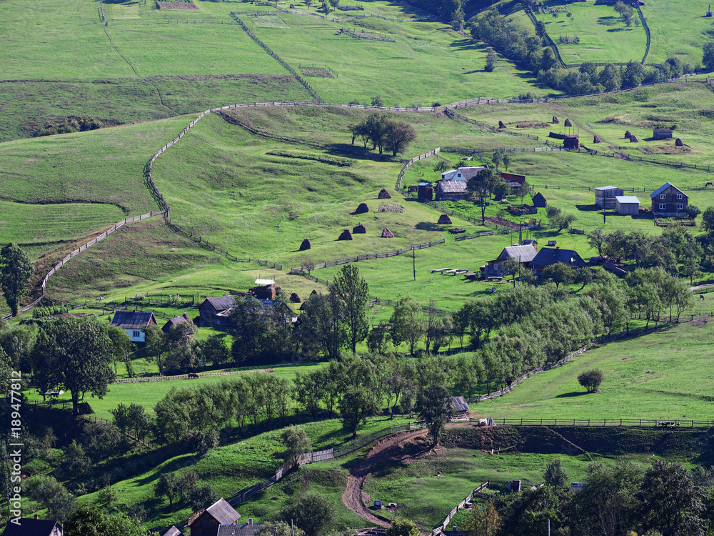 Carpatian mountains village at green forest