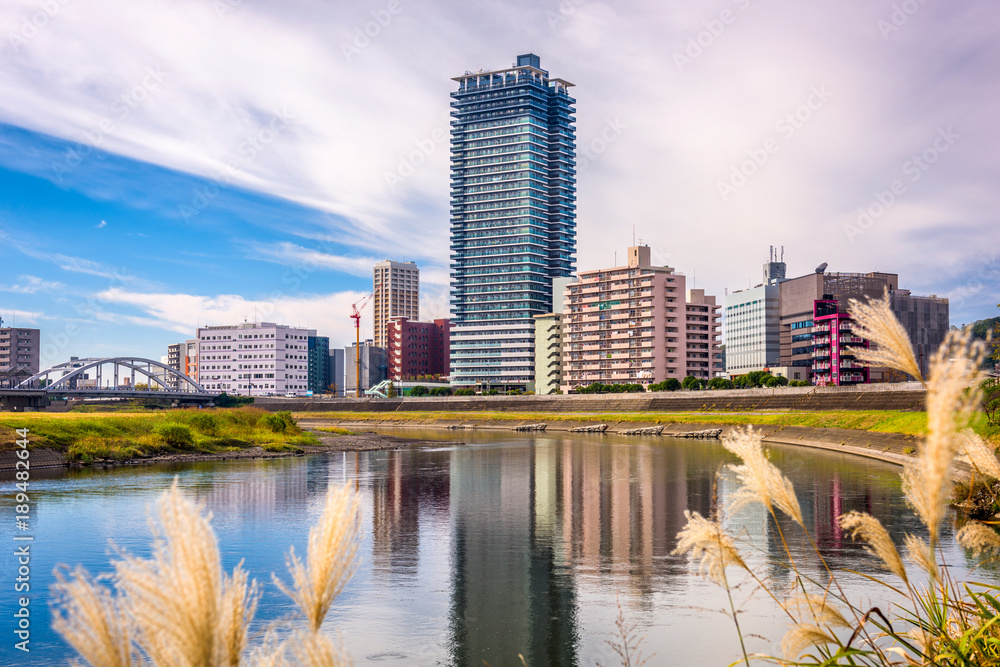 Kumamoto, Japan downtown cityscape on the Shirakawa River.