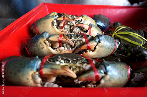 Fresh crabs are tied in a red pickup in the market. Fresh and delicious.the big claws of a crabs. Crabs are suitable for cooking. It is a good raw material. For the restaurant photo