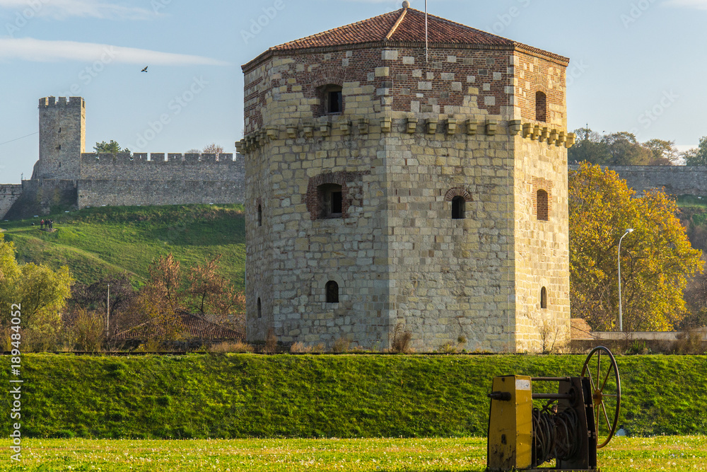 Naklejka premium BELGRADE, SERBIA - November 18 2013: Nebojsa Tower in Belgrade. Artillery canon fortress from medieval times now museum in Belgrade, Serbia.