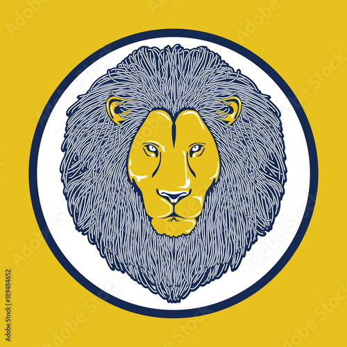 Fototapeta Naklejka Na Ścianę i Meble -  The head of lion color logo