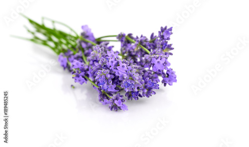 Bunch flower lavender therapeutic herbs  isolated on white