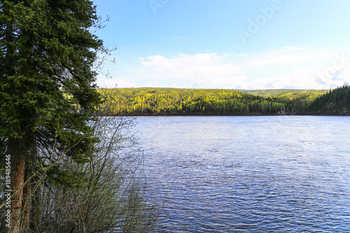 Shore at the Yukon River
