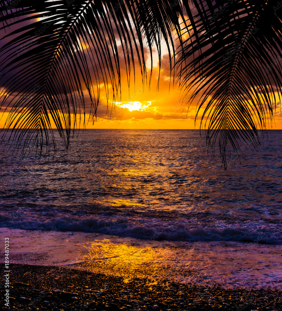 Palm trees silhouette at sunset. sunset and beach. Beautiful sunset above the sea