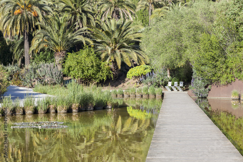 Photography Botanical garden in Montjuic park, Barcelona.