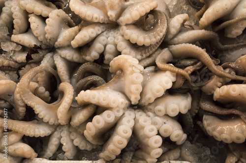 Fresh octopus in crater on seafood market for sale