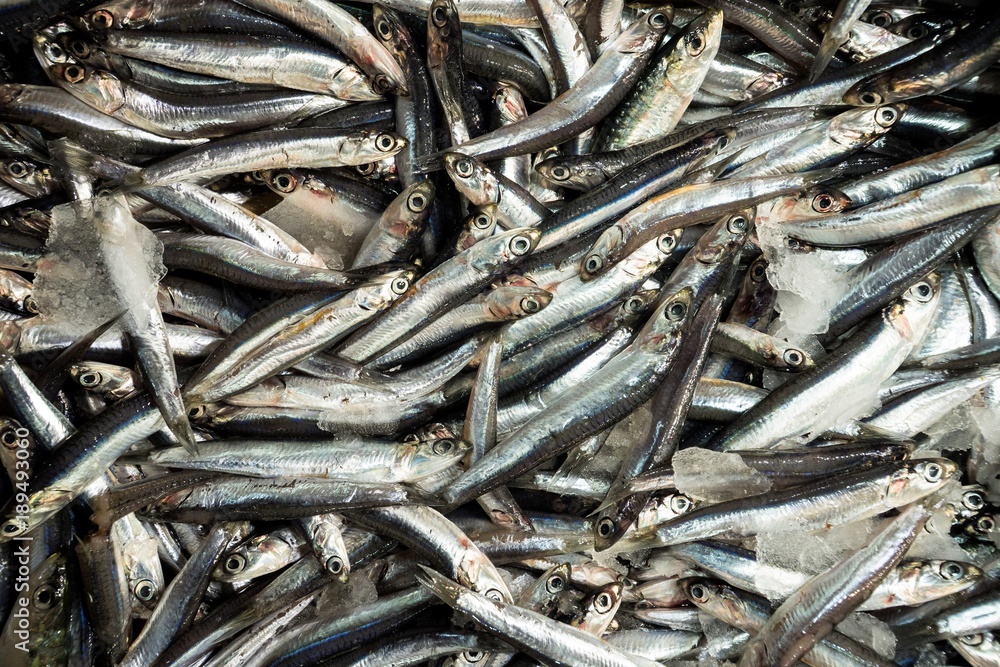 Fishes on ice in the fish market Fishes on ice in the fish market