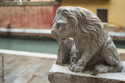 decoration lion in Venice