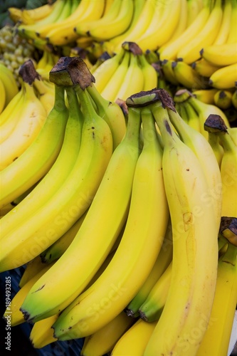 Yellow bananas on local market. Plantains or cooking banana for sell. Ripe raw banana bunch in sunlight